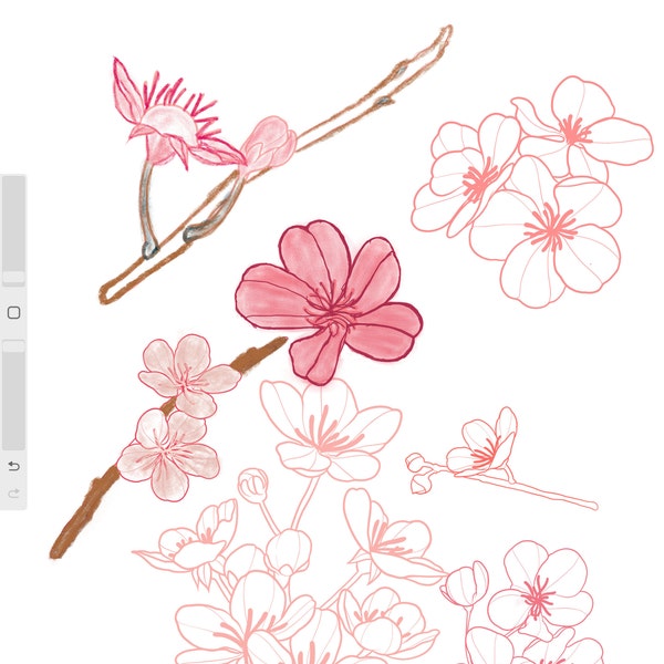 50 Procreate Brushes - Cherry Blossom Tattoo Set - Stamp Template ...