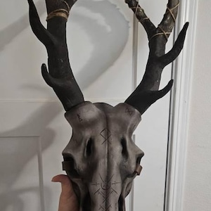 snowy added a photo of their purchase