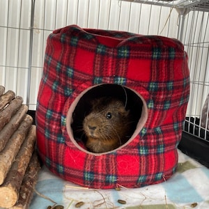 Meg added a photo of their purchase