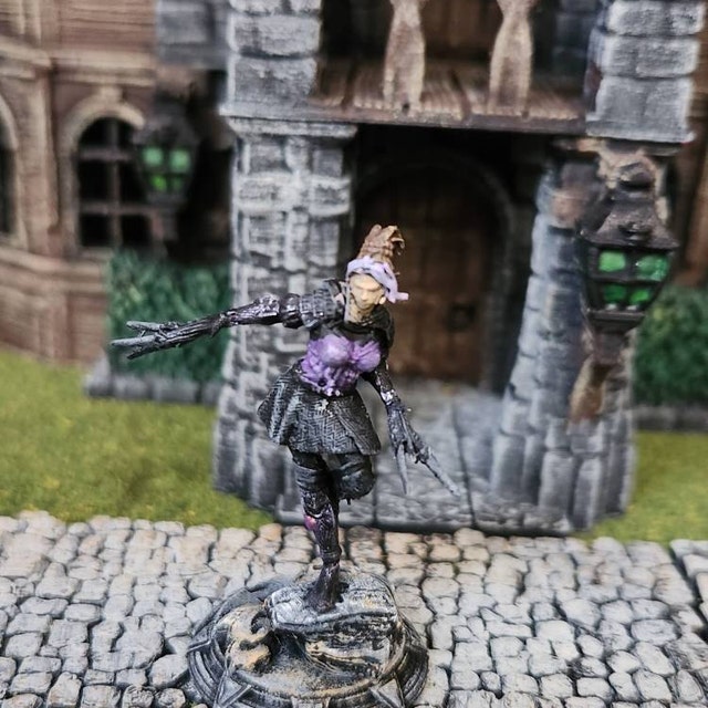 Merisiel Female Elf Rogue D&D Miniature | Dungeons & Dragons Beginner Box Heroes
