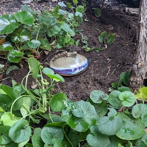 Sarah ha añadido una foto de su compra