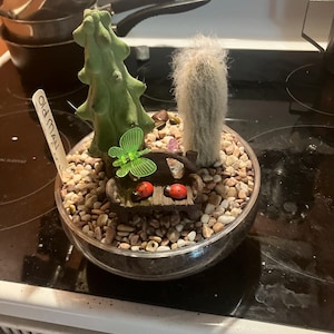 Lenatilda added a photo of their purchase