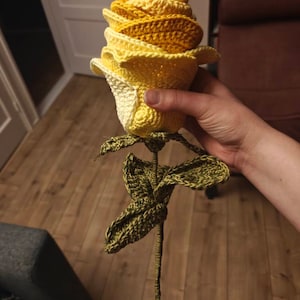 Linda added a photo of their purchase