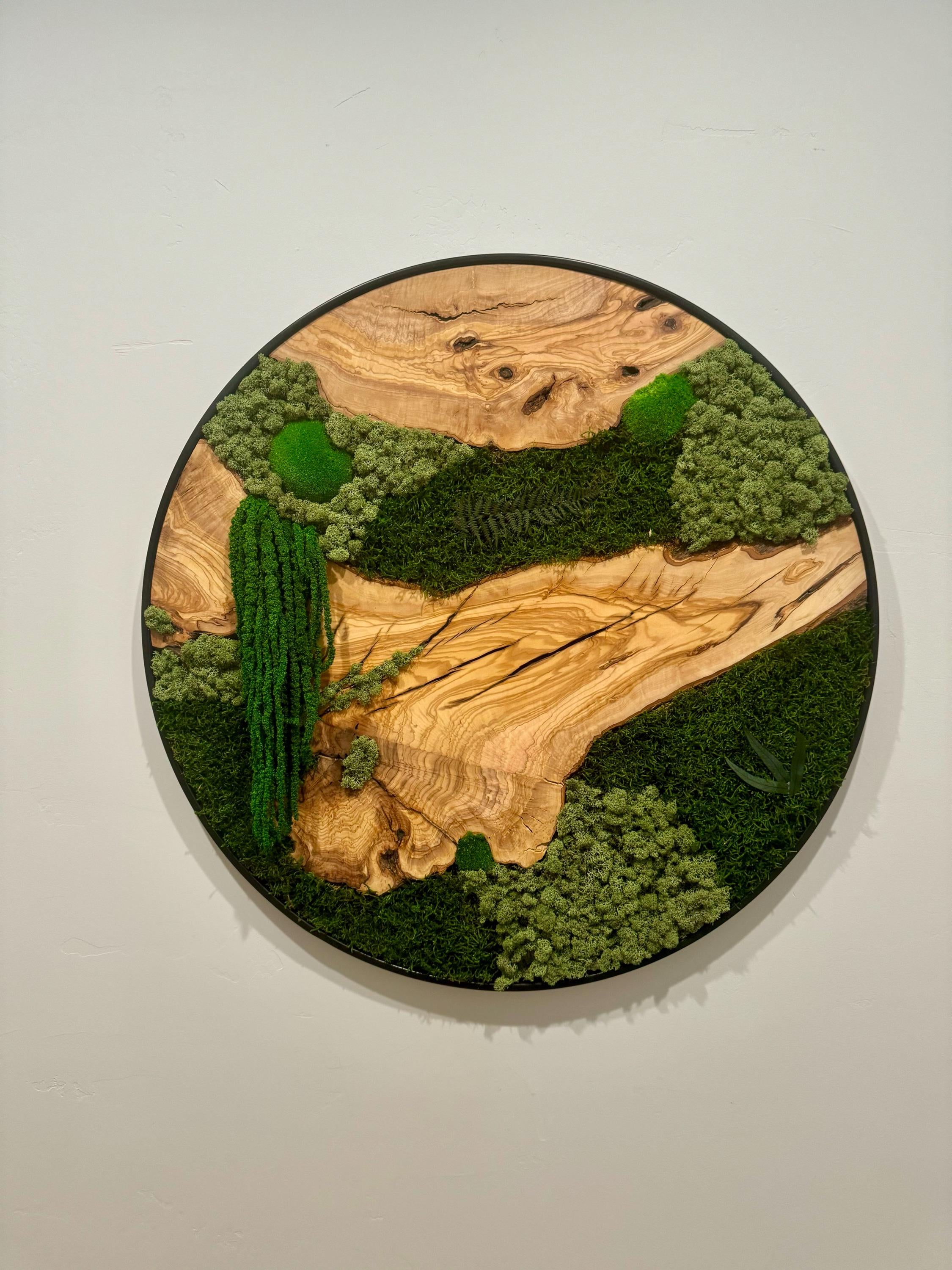 Custom Made Moss and Olive Wood Wall Art, Metal Frame Moss Wall Decor, Olive Wood and Moss Wall Art- Preserved Stabilized Moss Wall Decor