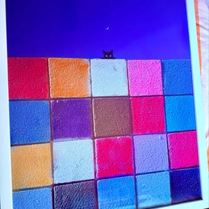 Sun added a photo of their purchase