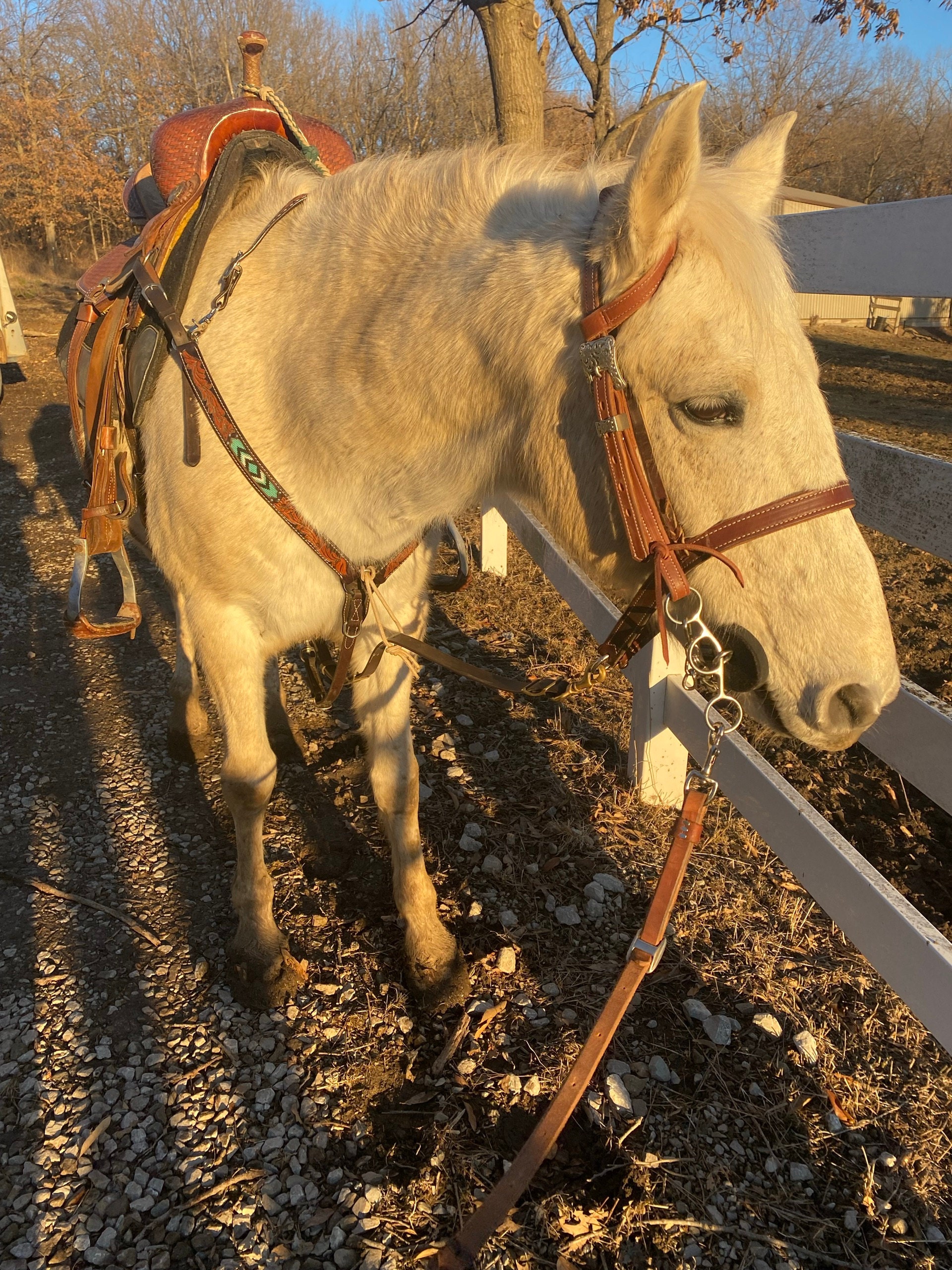Butter Soft Headstall, Herman Oak Leather, Working Headstall, Western Headstall, USA Made, Handmade in Idaho