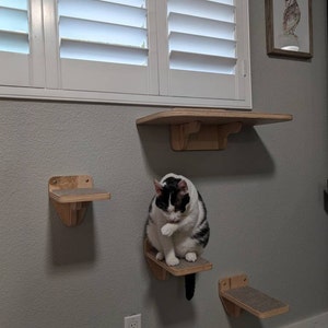 Mary added a photo of their purchase