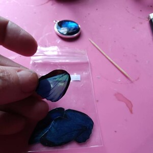 虹色に輝く青いモルフォ蝶の羽：キラキラ輝く小さなプラスチック製の
