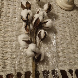 Alma added a photo of their purchase