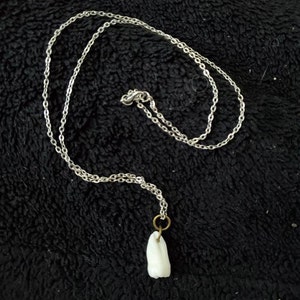 Elizabeth added a photo of their purchase