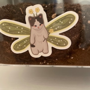 Madeleine added a photo of their purchase