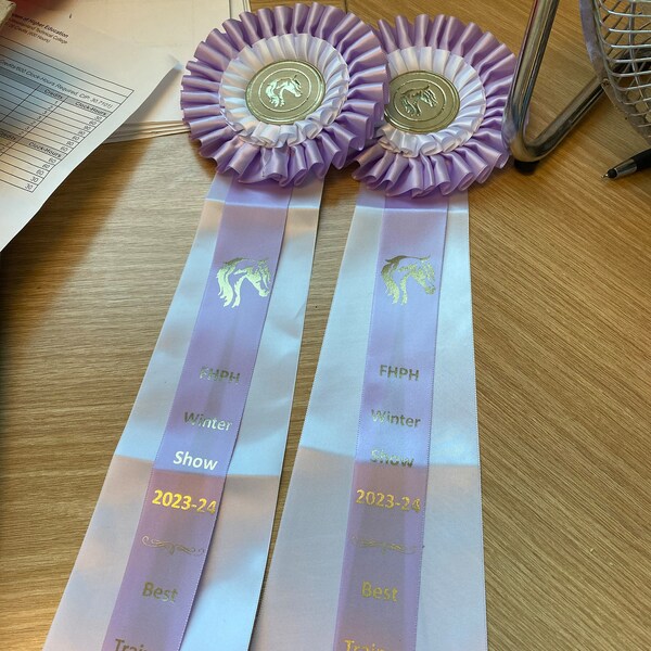 1 X Gold, Silver or Bronze Rosette, Ribbon Awards, Birthday or Any ...