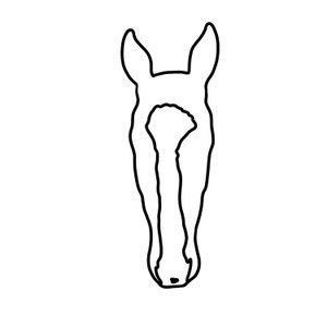 Line Art Collection Custom Horse Head Outline PNG File Digital
