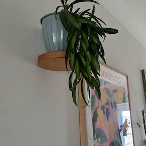 Justyna added a photo of their purchase