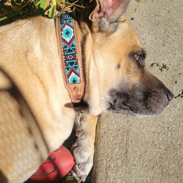 Western Leather Turquoise Black Beaded Bling Dog Collar