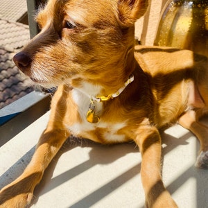 Nikki ha añadido una foto de su compra