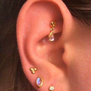 Inactive account added a photo of their purchase