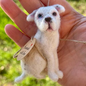 Jenny added a photo of their purchase
