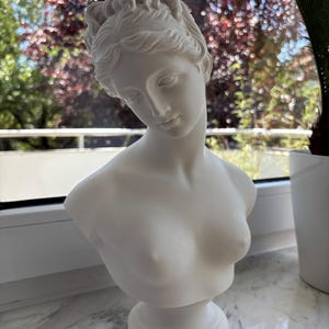 Paul hat ein Foto des gekauften Artikels hinzugefügt