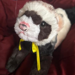 受注生産品！在庫なし！重みのある、ふにゃふにゃとしたリアルな