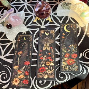 Kat added a photo of their purchase