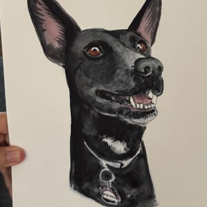 Cassie added a photo of their purchase