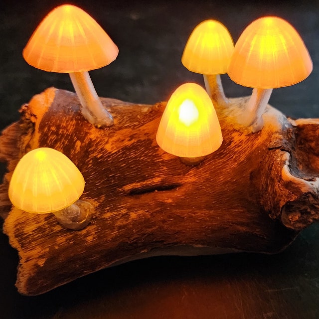 Rainbow Voronoi Mushroom: a WiFi Controlled Glow in the Dark Night Light :  9 Steps (with Pictures) - Instructables