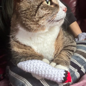 megz heeft een foto van de aankoop toegevoegd