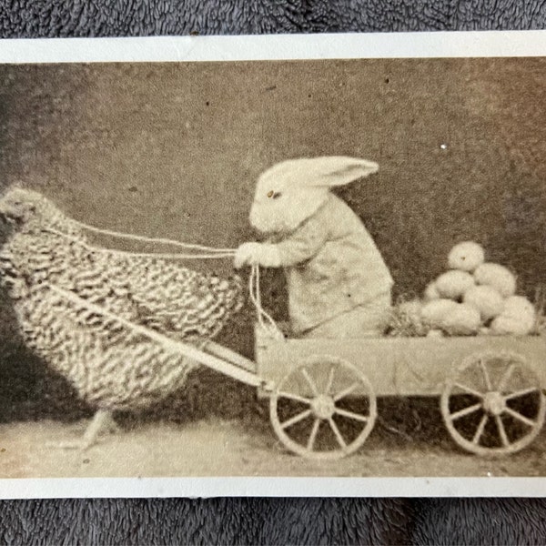 Valentines Card Vintage Print Plantable Seed Card Option Old Fashioned