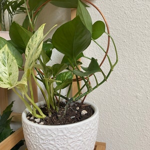 Jennifer added a photo of their purchase