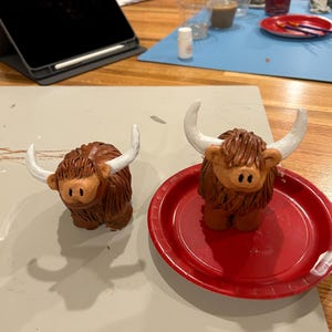 Courtney added a photo of their purchase