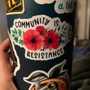 Hayley hat ein Foto des gekauften Artikels hinzugefügt