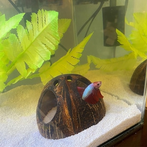 Jami added a photo of their purchase