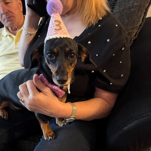 Laura added a photo of their purchase