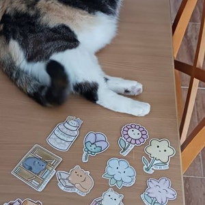 Elba heeft een foto van de aankoop toegevoegd