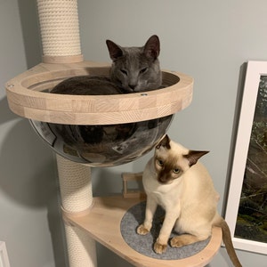 Kelly added a photo of their purchase