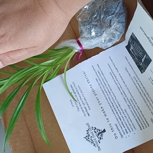Melanie hat ein Foto des gekauften Artikels hinzugefügt