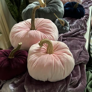 Annick added a photo of their purchase