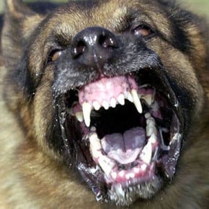 Mark added a photo of their purchase