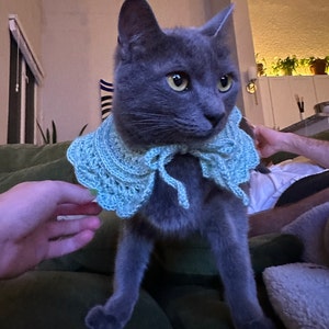 Nique added a photo of their purchase