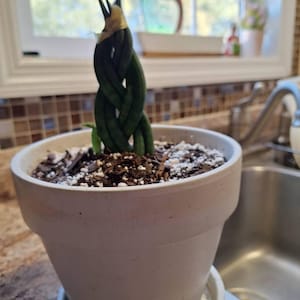 Geoffry added a photo of their purchase