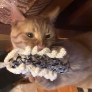 Phyllis added a photo of their purchase