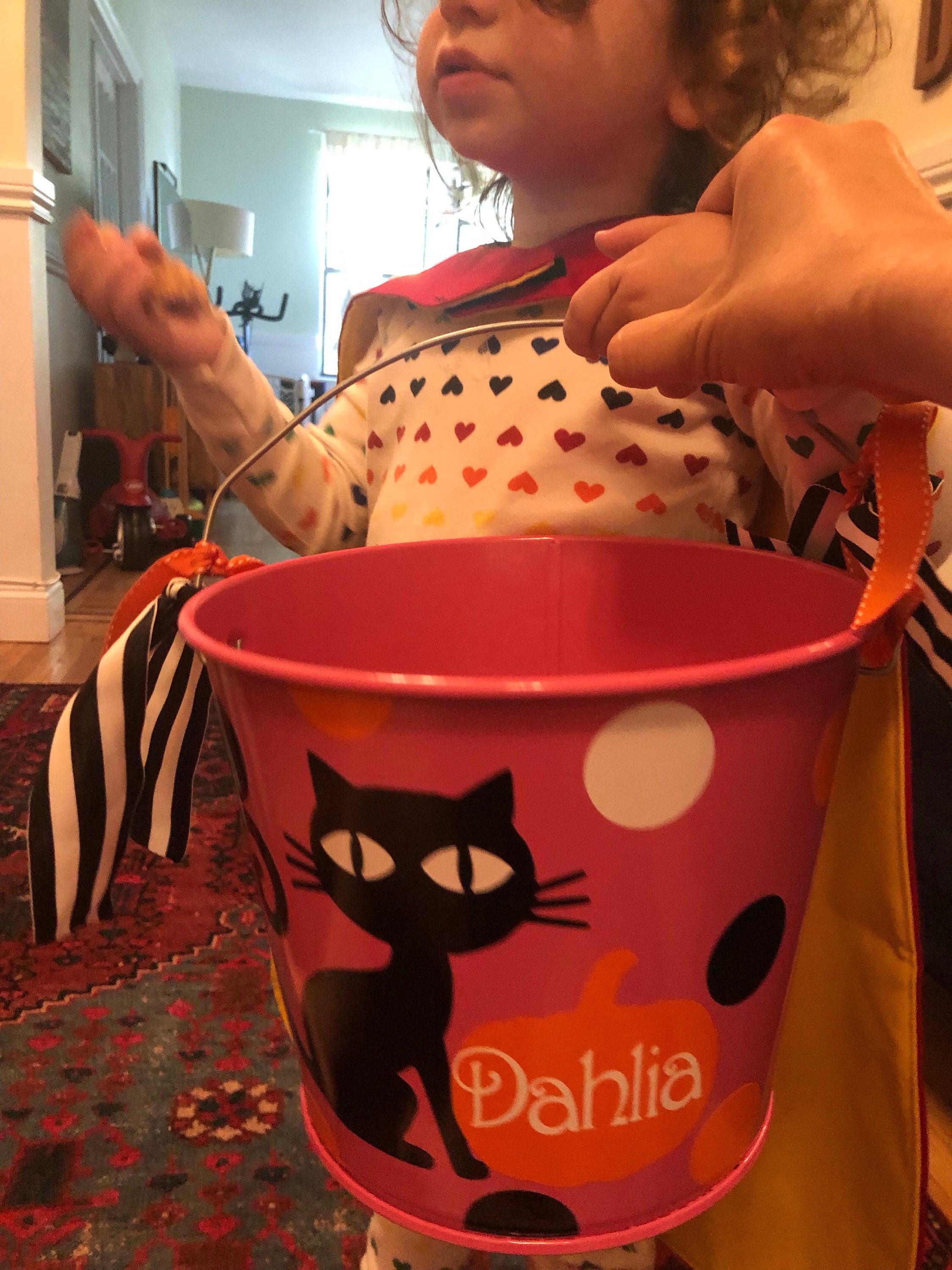 Personalized 5QT Halloween Trick or Treat Bucket with Handles/White with Black Cat and Pumpkin & Name/Many Designs to Choose From