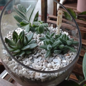 Julia added a photo of their purchase