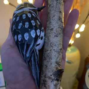 Kim added a photo of their purchase