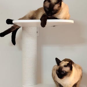Aida ha añadido una foto de su compra