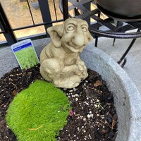 Gotische Gargoyle Statue – Harz-Skulptur 18,8x18,5 Cm Für Garten, Wohnzimmer & Büro-Deko