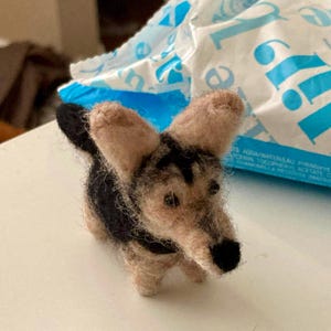 Ann added a photo of their purchase