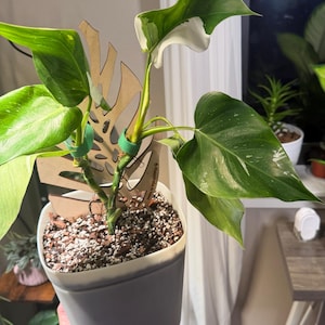 Shellie added a photo of their purchase