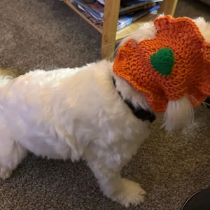 Susan added a photo of their purchase